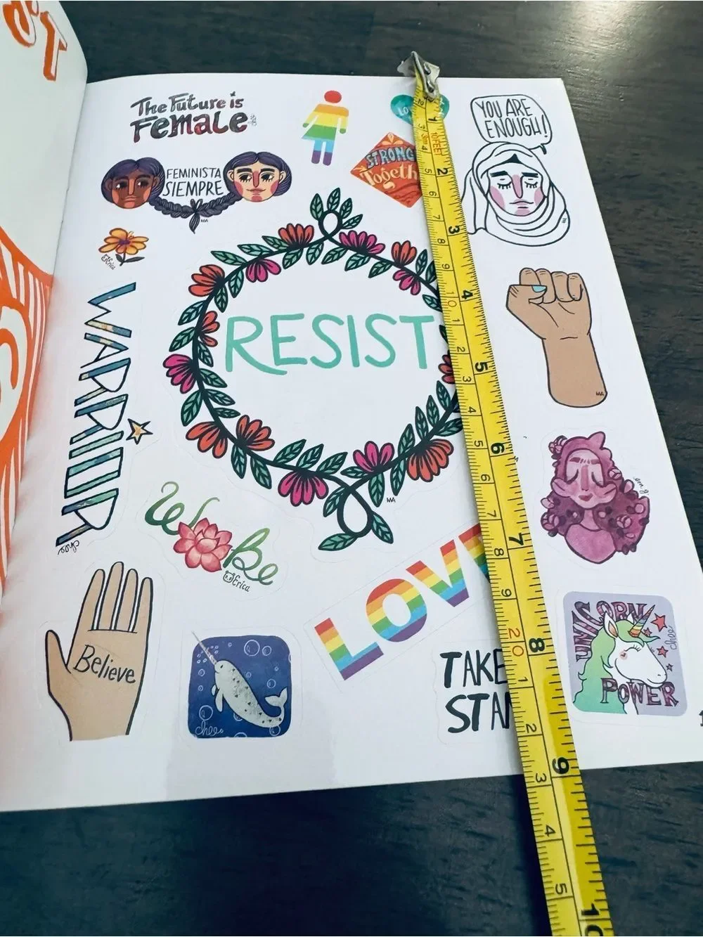 Feminist Female Resist Stickers